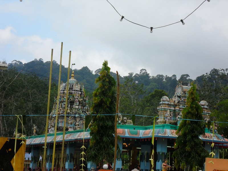 RFTDP001165331.jpg
